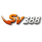 Profile picture of SV 388