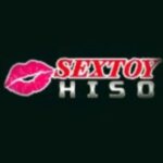 Profile picture of TOY HISO