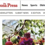 Profile picture of Amanita Muscaria Legal Mushroom Gummies