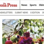 Profile picture of Where to Buy Psilocybin Magic Mushrooms for Sale Online Legally