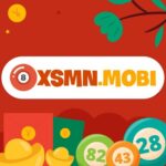 Profile picture of Kinh nghiệm theo dõi SX miền Nam và kiểm tra kết quả XSKTMN hiệu quả